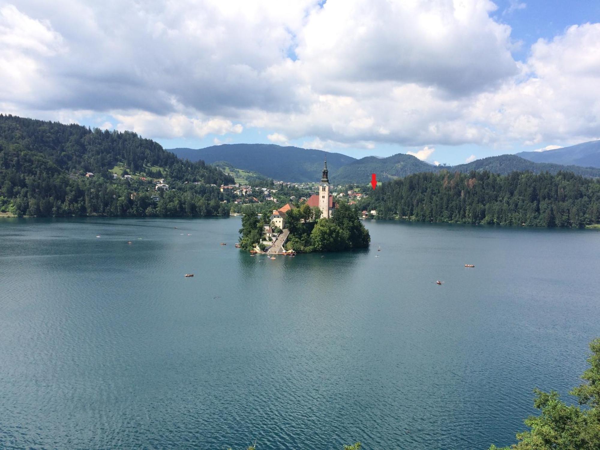 Petek Bled